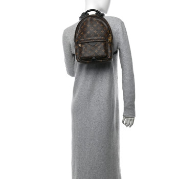 LOUIS VUITTON Monogram Palm Springs Backpack PM