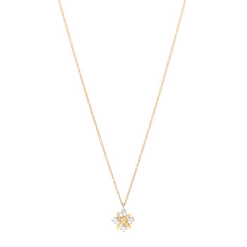TIFFANY Platinum 18K Yellow Gold Diamond Schlumberger Lynn Pendant Necklace