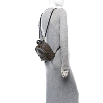 LOUIS VUITTON Monogram Palm Springs Backpack Mini