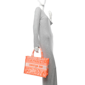 CHRISTIAN DIOR Transparent Canvas Embroidered Medium Dioriviera Toile De Jouy Book Tote