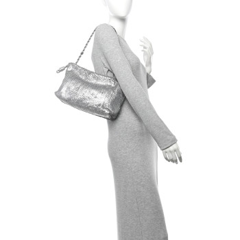 LOEWE Metallic Nappa Calfskin Fringed Medium Chain Flamenco Knot Purse Silver