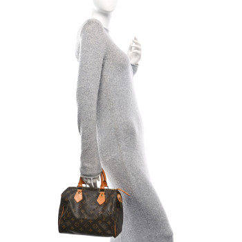 LOUIS VUITTON Monogram Speedy 25