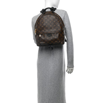 LOUIS VUITTON Monogram Palm Springs Backpack MM
