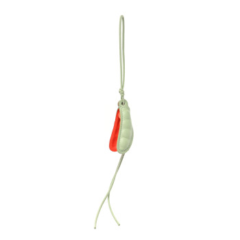 LOEWE Calfskin Pea Pod Bag Charm Light Pear Bright Orange