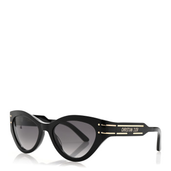 CHRISTIAN DIOR Diorsignature B7I Butterfly Sunglasses Black