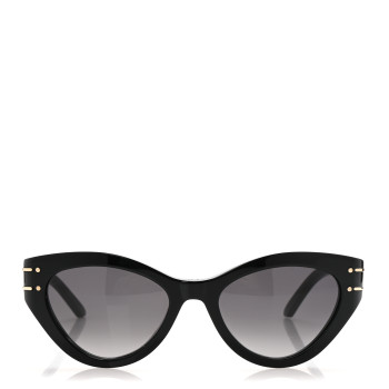 CHRISTIAN DIOR Diorsignature B7I Butterfly Sunglasses Black
