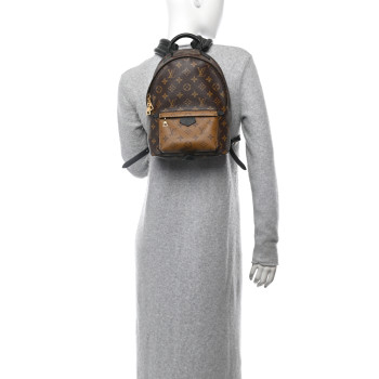 LOUIS VUITTON Reverse Monogram Palm Springs Backpack PM
