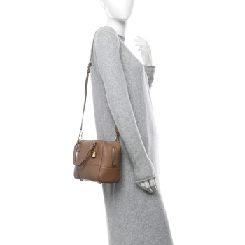 LOEWE Calfskin Amazona 19 Brown