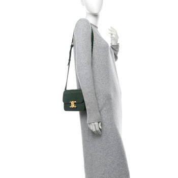CELINE Watersnake Teen Triomphe Green