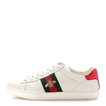 GUCCI Calfskin Ayers Bee Embroidered Womens Ace Sneakers 36 White Green