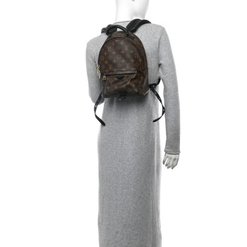 LOUIS VUITTON Monogram Palm Springs Backpack PM