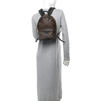 LOUIS VUITTON Monogram Palm Springs Backpack PM