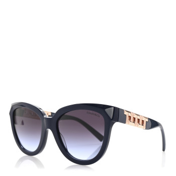 TIFFANY Acetate Metal Sunglasses TF4215 Blue