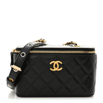 CHANEL Goatskin Quilted Punk Essentials Vanity Case With Chain Black