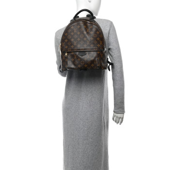 LOUIS VUITTON Monogram Palm Springs Backpack MM