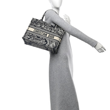 CHRISTIAN DIOR Canvas Embroidered Medium Dioriviera Toile De Jouy Reverse Book Tote Blue