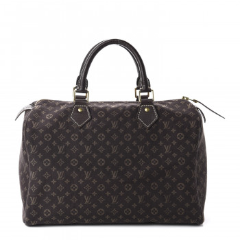 LOUIS VUITTON Mini Lin Speedy 30 Ebene