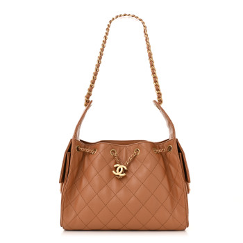 CHANEL Caviar Quilted Small Chanel 25 Handbag Brown