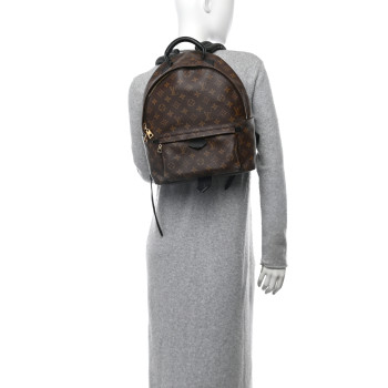 LOUIS VUITTON Monogram Palm Springs Backpack MM