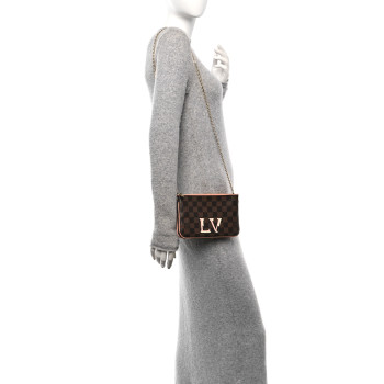 LOUIS VUITTON Damier Ebene Double Zip Pochette
