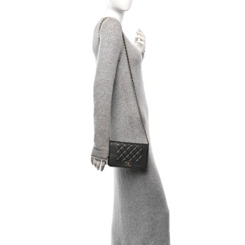 CHANEL Sheepskin Quilted Mademoiselle Vintage Wallet On Chain WOC Ruthenium