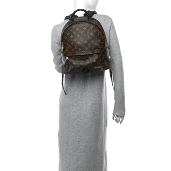 LOUIS VUITTON Monogram Palm Springs Backpack MM