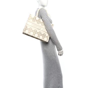 CHRISTIAN DIOR Canvas Embroidered Medium Book Tote Gold Multicolor