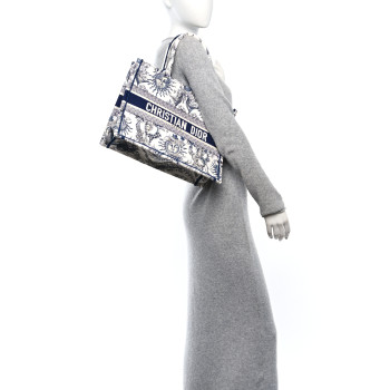 CHRISTIAN DIOR Canvas Embroidered Medium Toile de Jouy Soleil Book Tote Blue Multicolor