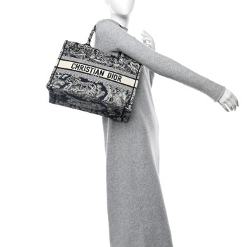 CHRISTIAN DIOR Canvas Embroidered Medium Dioriviera Toile De Jouy Reverse Book Tote Blue