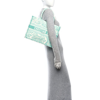 CHRISTIAN DIOR Canvas Embroidered Medium Dioriviera Toile De Jouy Book Tote Aquamarina