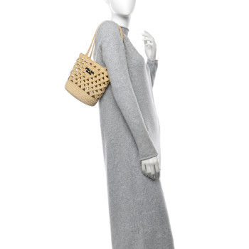 PRADA Yarn Raffia Effect Crochet Embroidered Mini  Logo Tote Naturale