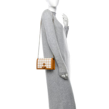 GUCCI Polished Raffia Textured Dollar Calfskin Houndstooth Mini Diana Chain Bag Natural Sun Oil Mystic White