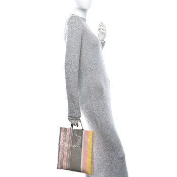 THE ROW Mesh Saddle Calfskin Barn Mini Tote Bag Multicolor