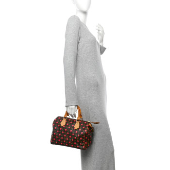 LOUIS VUITTON Monogram Cerises Speedy 25 LOUIS VUITTON Monogram Cerises Speedy 25