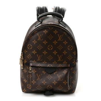 LOUIS VUITTON Monogram Palm Springs Backpack PM