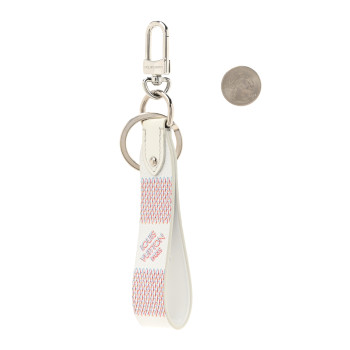 LOUIS VUITTON Damier Spray Dragonne Key Holder White