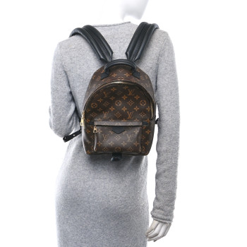 LOUIS VUITTON Monogram Palm Springs Backpack PM