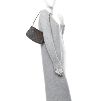 LOUIS VUITTON Monogram Pochette Accessories NM