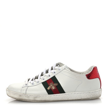 GUCCI Calfskin Ayers Bee Embroidered Womens Ace Sneakers 37 White Green