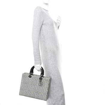 CHRISTIAN DIOR Snakeskin Large Lady Dior Black White