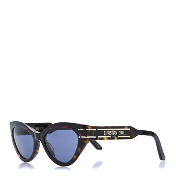 CHRISTIAN DIOR Acetate DiorSignature B7I Sunglasses Dark Havana Blue