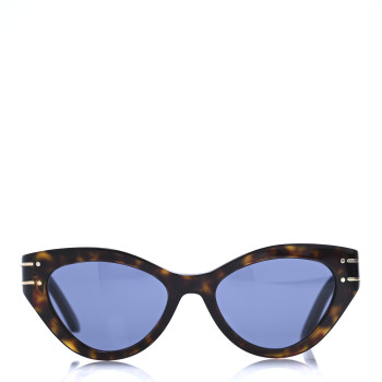 CHRISTIAN DIOR Acetate DiorSignature B7I Sunglasses Dark Havana Blue