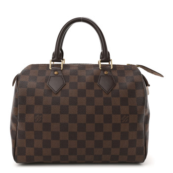 LOUIS VUITTON Damier Ebene Speedy 25