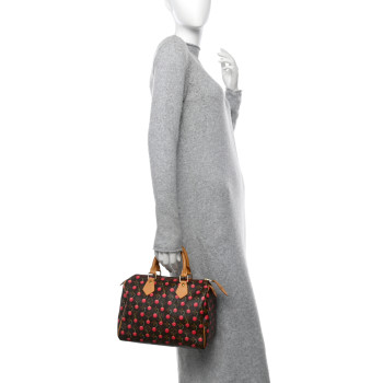 LOUIS VUITTON Monogram Cerises Speedy 25 LOUIS VUITTON Monogram Cerises Speedy 25