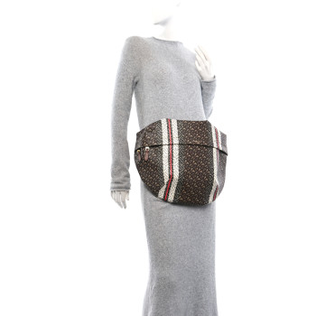 BURBERRY E-Canvas Monogram Stripe XL Sonny Bum Bag Bridle Brown