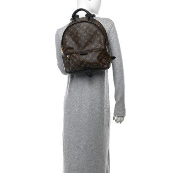LOUIS VUITTON Monogram Palm Springs Backpack MM