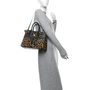 LOUIS VUITTON Canvas Calfskin Wild Animal Print City Steamer EW Marron