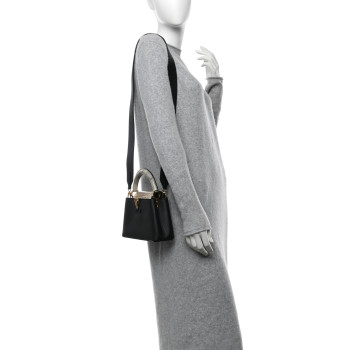LOUIS VUITTON Taurillon Ayers Mini Capucines  Black