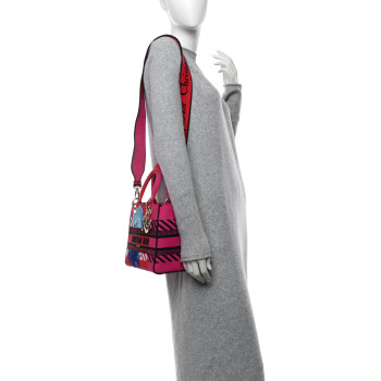 CHRISTIAN DIOR Canvas Embroidered Flower Pop Medium Lady D-Lite Red Pink