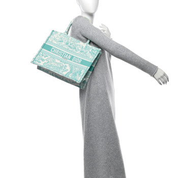 CHRISTIAN DIOR Canvas Embroidered Medium Dioriviera Toile De Jouy Book Tote Aquamarina